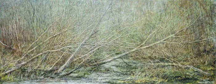 „Lebendiges Licht“ 2002