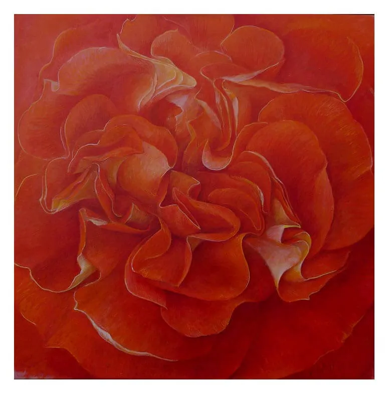„Rose Gebrüder Grimm“ 2004