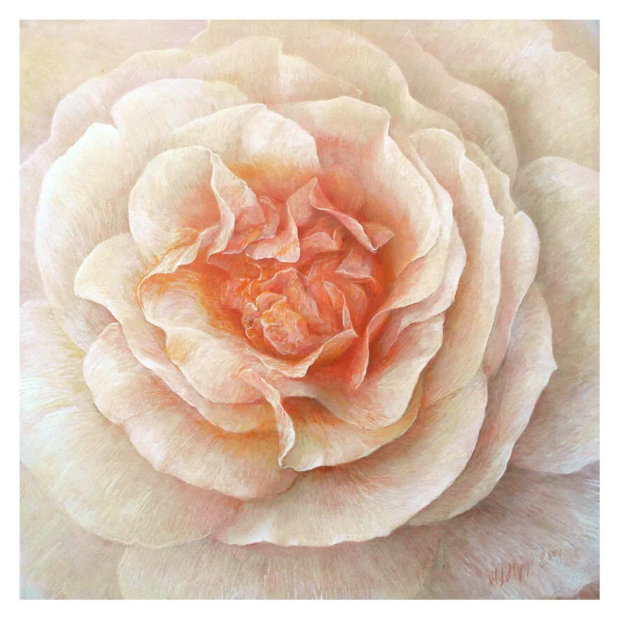 „Rose Sangerhäuser Jubiläumsrose“ 2006