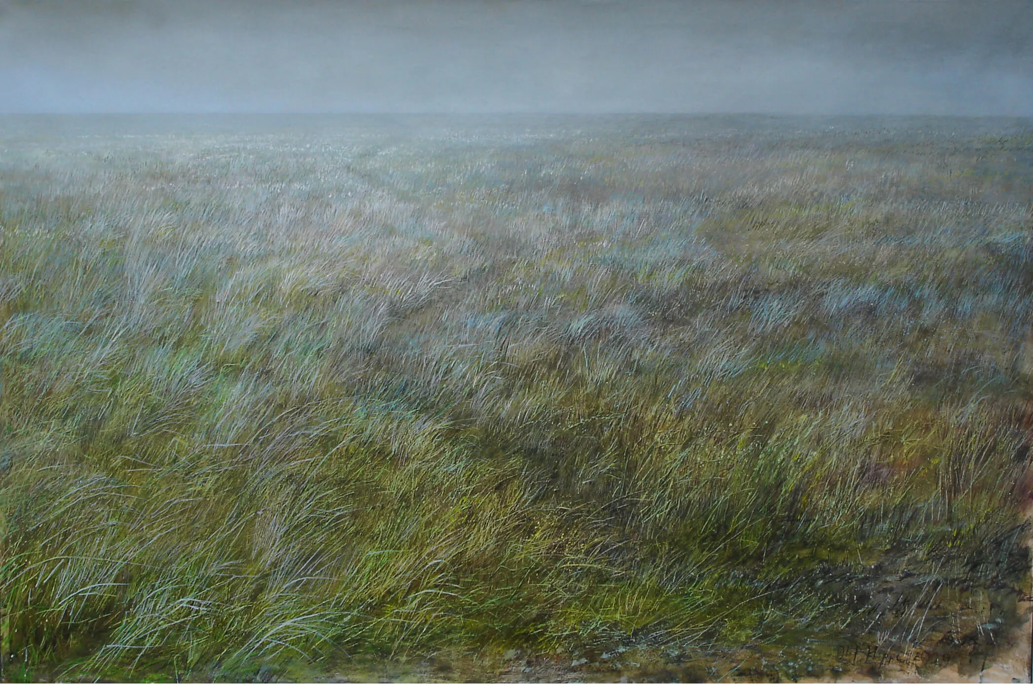 „Seegras“ 2009