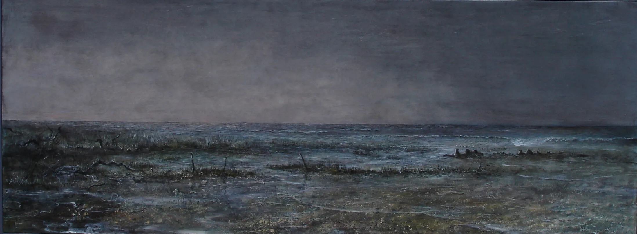 „Salzwiese-Nordlicht“ 2010